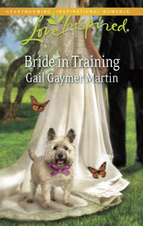 Cover of the book Bride in Training by Gail Gaymer Martin, Steeple Hill