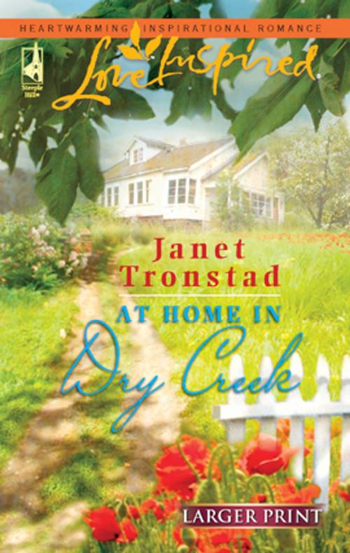 Cover of the book At Home in Dry Creek by Janet Tronstad, Steeple Hill
