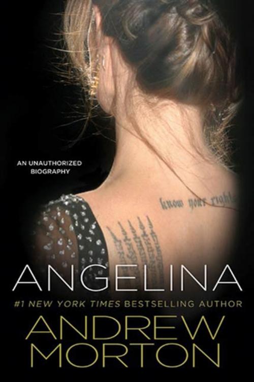 Cover of the book Angelina by Andrew Morton, St. Martin's Press