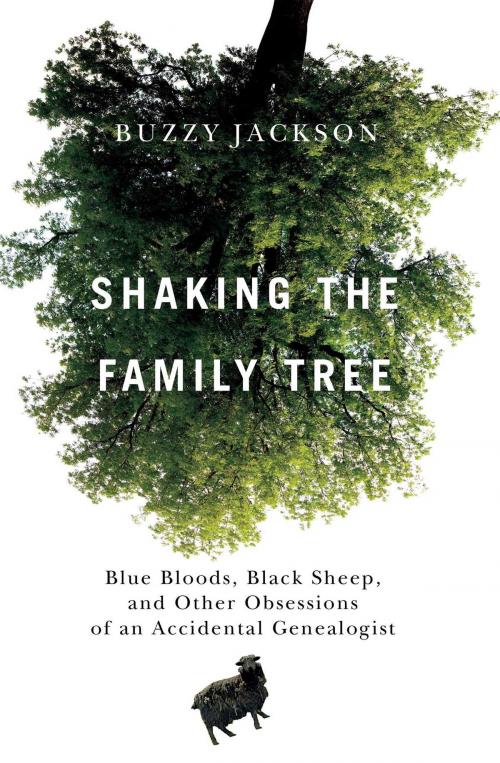 Cover of the book Shaking the Family Tree by Buzzy Jackson, Touchstone