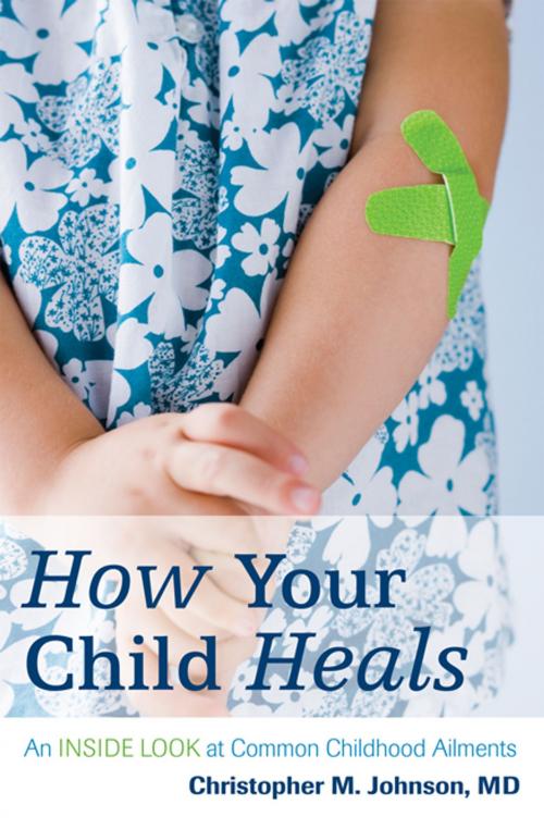 Cover of the book How Your Child Heals by Christopher M. Johnson, Rowman & Littlefield Publishers
