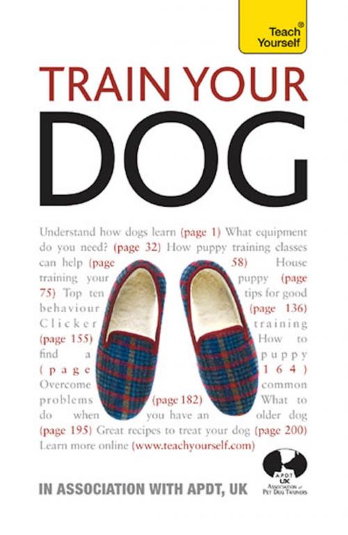 Cover of the book Train Your Dog: Teach Yourself by Association of Pet Dog Trainers, John Murray Press