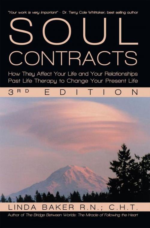 Cover of the book Soul Contracts by Linda Baker, iUniverse