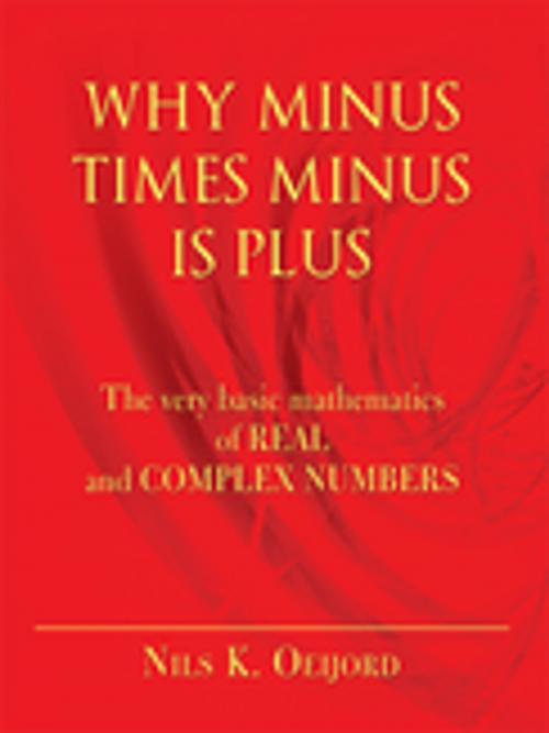 Cover of the book Why Minus Times Minus Is Plus by Nils K. Oeijord, iUniverse