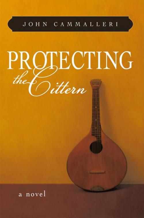 Cover of the book Protecting the Cittern by John Cammalleri, iUniverse