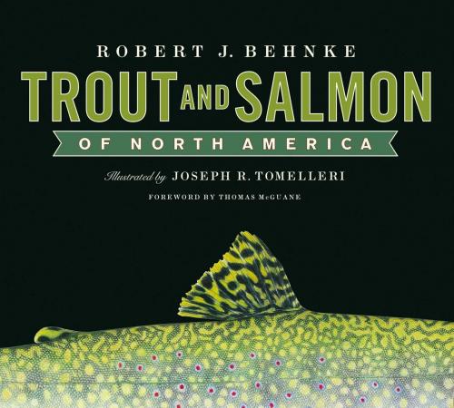 Cover of the book Trout and Salmon of North America by Robert Behnke, Free Press