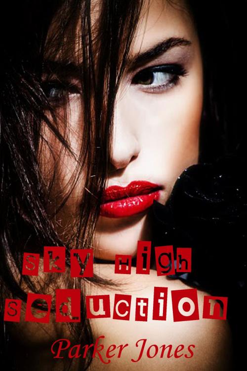 Cover of the book Sky High Seduction by Parker Jones, Hot Tropica Books