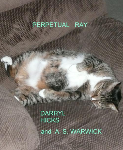 Cover of the book Perpetual Ray by Darryl Hicks, Darryl Hicks