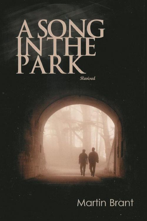 Cover of the book A Song in the Park by Martin Brant, Martin Brant
