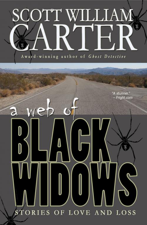 Cover of the book A Web of Black Widows by Scott William Carter, Flying Raven Press