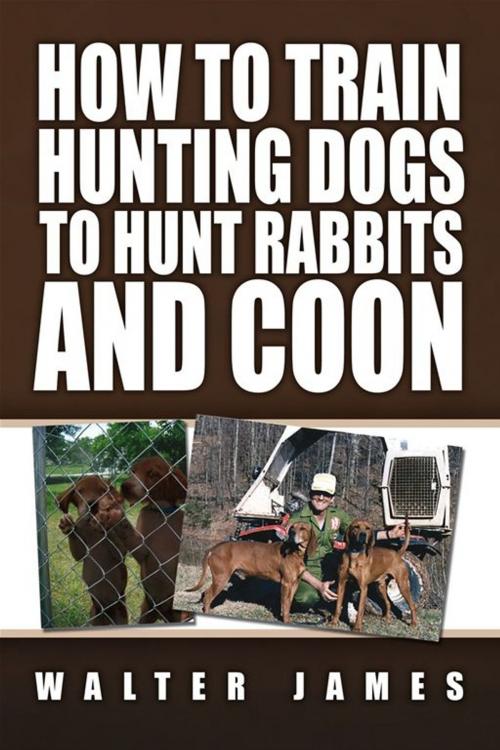 Cover of the book How to Train Hunting Dogs to Hunt Rabbits and Coon by Walter James, Xlibris US