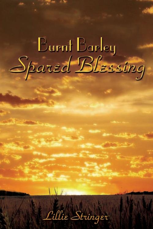 Cover of the book Burnt Barley. . .Spared Blessing by Lillie Stringer, Xlibris US