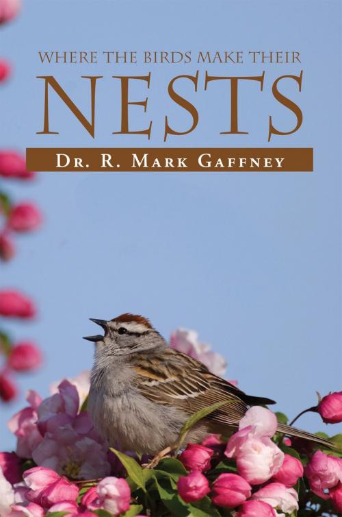 Cover of the book Where the Birds Make Their Nests by R. Mark Gaffney, Xlibris US
