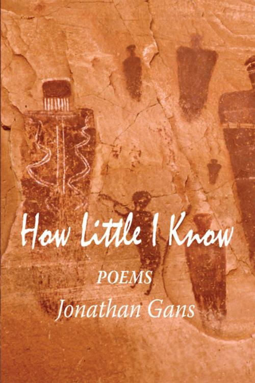 Cover of the book How Little I Know by Jonathan Gans, Xlibris US