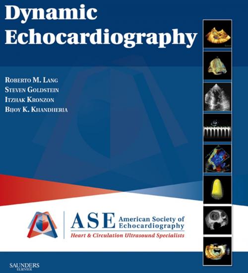 Cover of the book Dynamic Echocardiography E-Book by Roberto Lang, MD, FASE, FACC, FAHA, FESC, FRCP, Steven R. Goldstein, MD, Itzhak Kronzon, MD, FASE, FACC, FAHA, FESC, FACP, Bijoy K. KHANDHERIA, Elsevier Health Sciences
