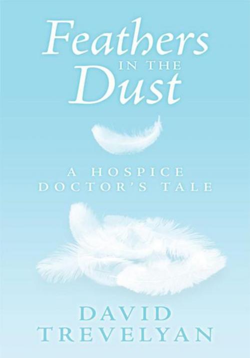 Cover of the book Feathers in the Dust by David Trevelyan, AuthorHouse UK