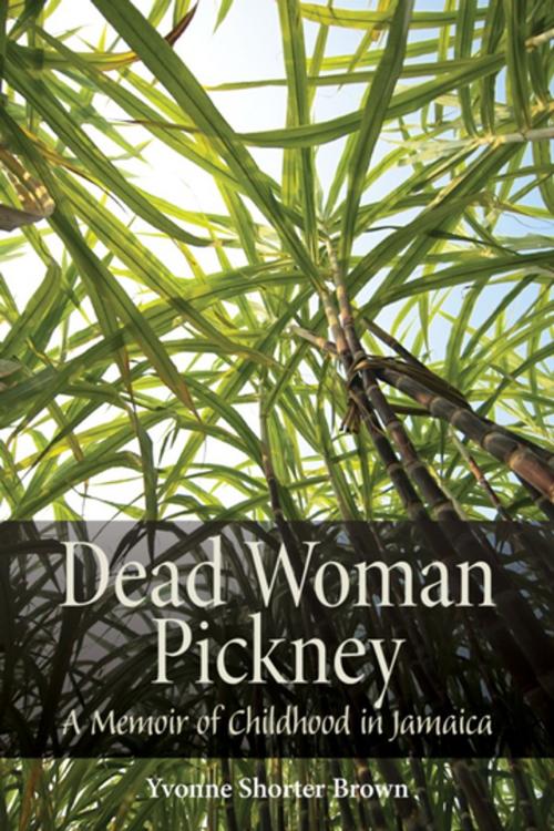 Cover of the book Dead Woman Pickney by Yvonne Shorter Brown, Wilfrid Laurier University Press