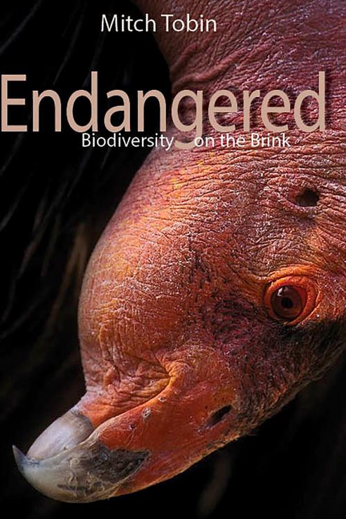 Cover of the book Endangered by Mitch Tobin, Fulcrum Publishing