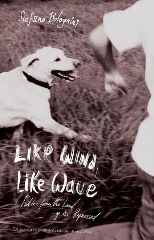 Cover of the book Like Wind, Like Wave by Stefano Bolognini, Other Press