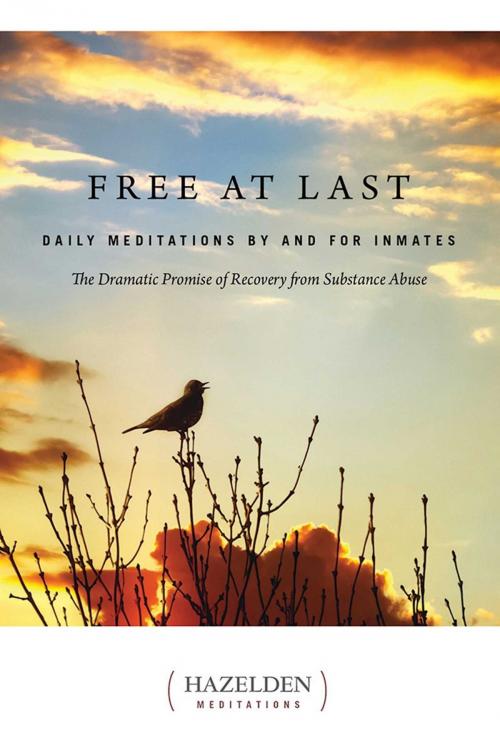 Cover of the book Free at Last by Anonymous, Hazelden Publishing