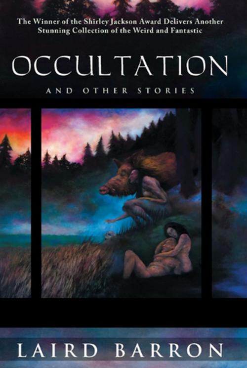 Cover of the book Occultation by Laird Barron, Night Shade Books