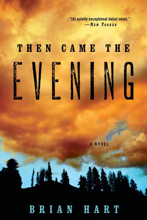 Cover of the book Then Came the Evening by Brian Hart, Bloomsbury Publishing