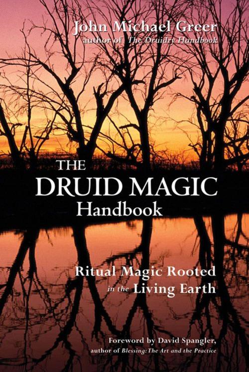 Cover of the book The Druid Magic Handbook: Ritual Magic Rooted In The Living Earth by John Michael Greer, Red Wheel Weiser