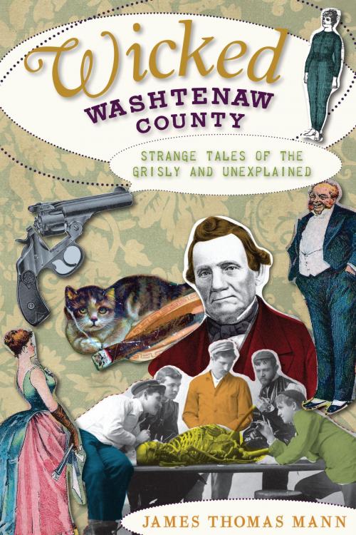 Cover of the book Wicked Washtenaw County by James Thomas Mann, Arcadia Publishing Inc.