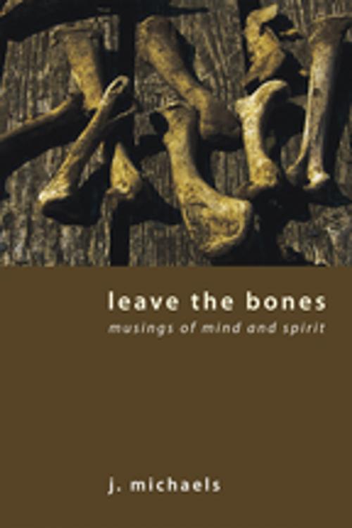 Cover of the book Leave the Bones by J. Michaels, Wipf and Stock Publishers