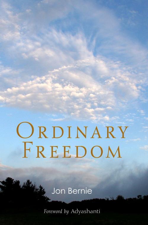 Cover of the book Ordinary Freedom by Jon Bernie, New Harbinger Publications