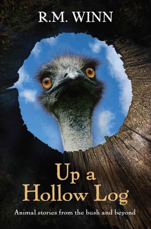 Cover of the book Up a Hollow Log by R.M. Winn, Penguin Random House Australia