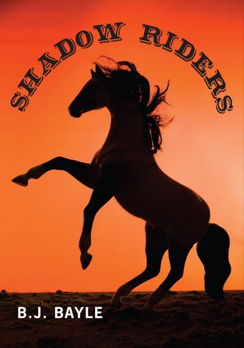 Cover of the book Shadow Riders by B.J. Bayle, Dundurn