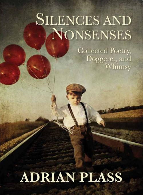 Cover of the book Silences and Nonsenses by Adrian Plass, Authentic Publishers