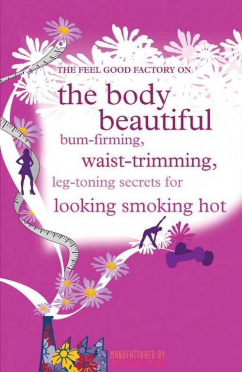 Cover of the book The Feel good factory on the body beautiful by Infinite Ideas, Infinite Ideas