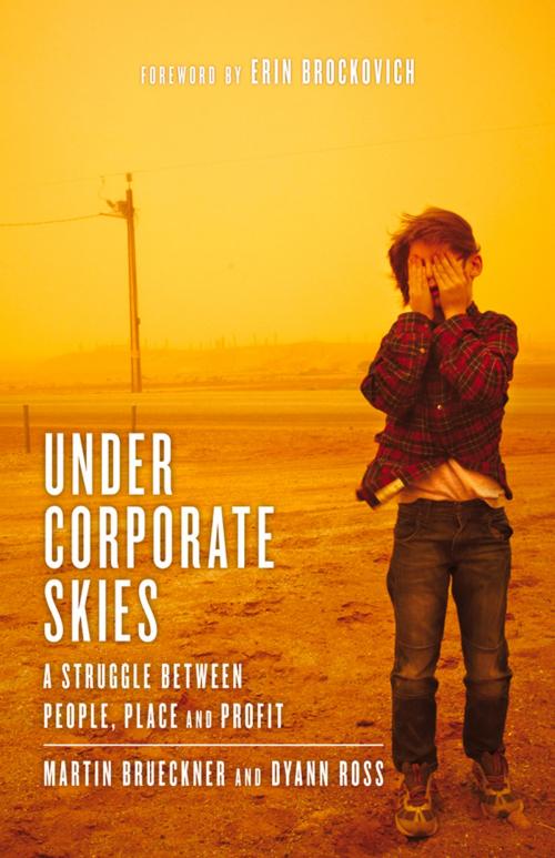 Cover of the book Under Corporate Skies by Martin Brueckner, Dyann Ross, Erin Brockovich, Fremantle Press