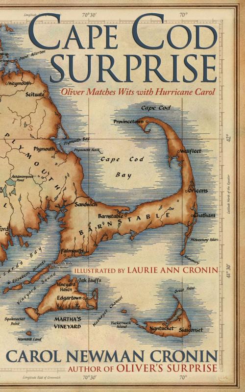 Cover of the book Cape Cod Surprise by Carol Newman Cronin, GemmaMedia
