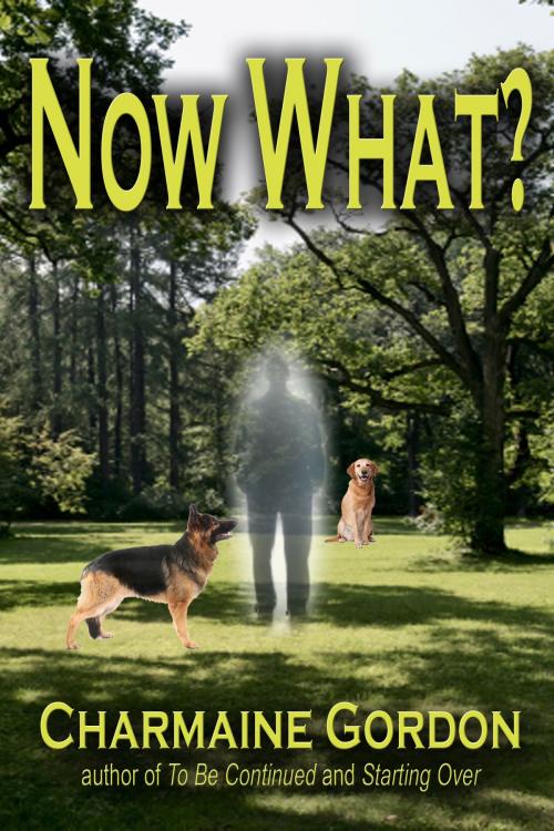 Cover of the book Now What? by Charmaine Gordon, Vanilla Heart Publishing