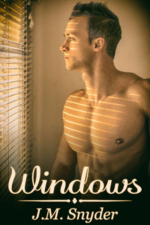 Cover of the book Windows by J.M. Snyder, JMS Books LLC
