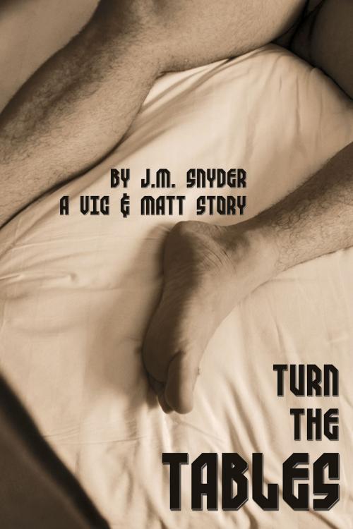 Cover of the book Turn the Tables by J.M. Snyder, JMS Books LLC
