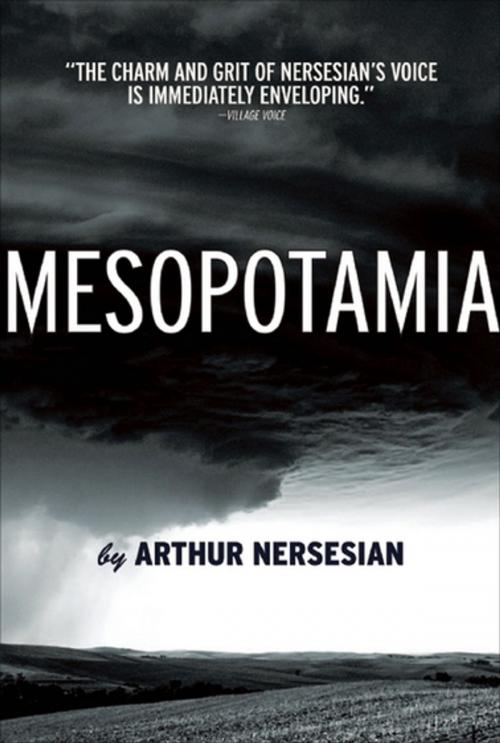 Cover of the book Mesopotamia by Arthur Nersesian, Akashic Books (Ignition)