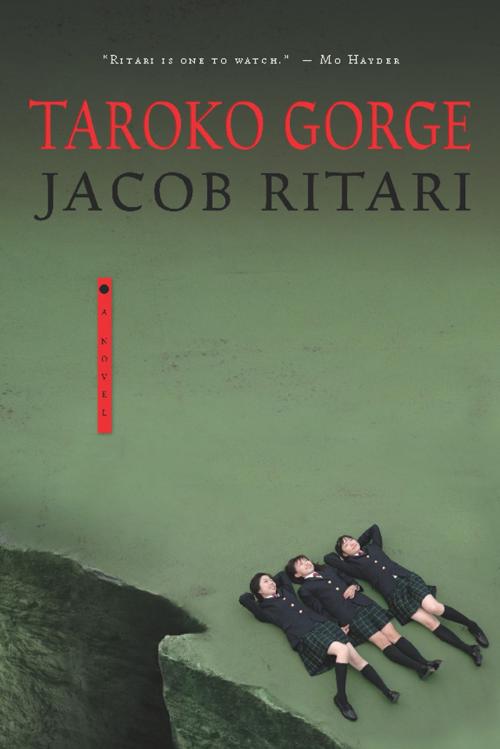 Cover of the book Taroko Gorge by Jacob Ritari, Unbridled Books
