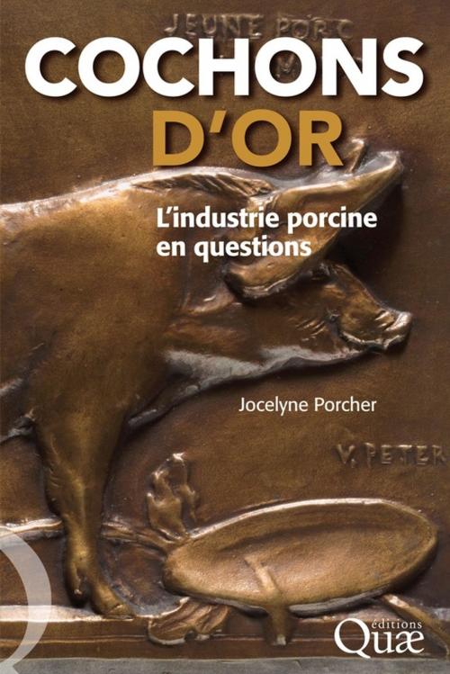 Cover of the book Cochons d'or by Jocelyne Porcher, Quae