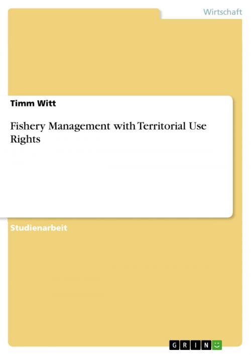 Cover of the book Fishery Management with Territorial Use Rights by Timm Witt, GRIN Verlag