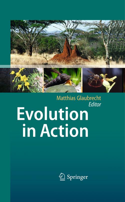 Cover of the book Evolution in Action by , Springer Berlin Heidelberg