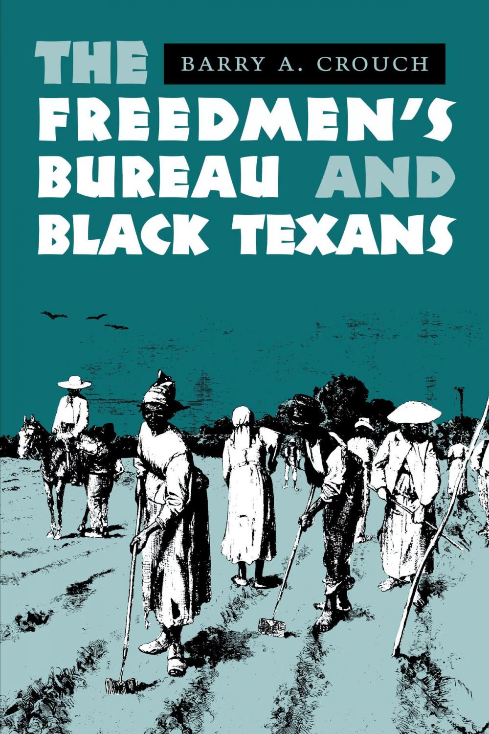 Big bigCover of The Freedmen's Bureau and Black Texans