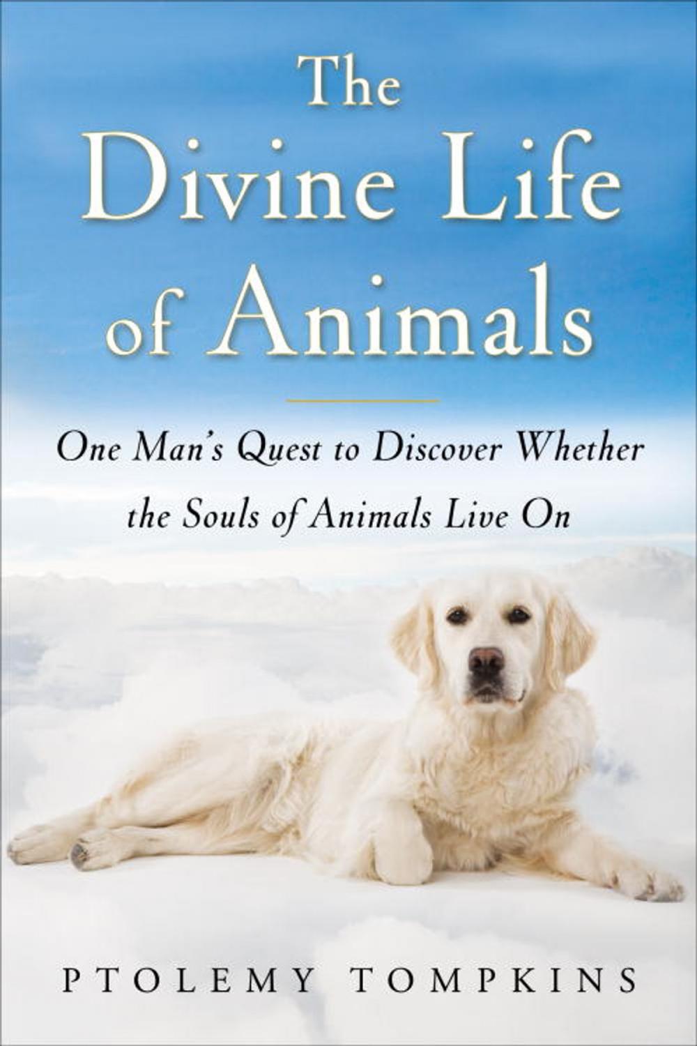 Big bigCover of The Divine Life of Animals