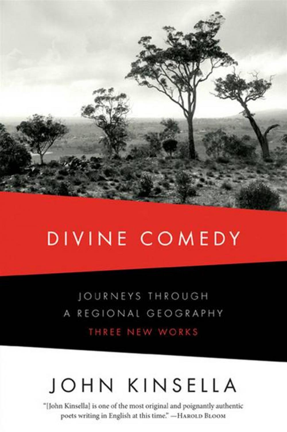 Big bigCover of Divine Comedy: Journeys Through a Regional Geography: Three New Works