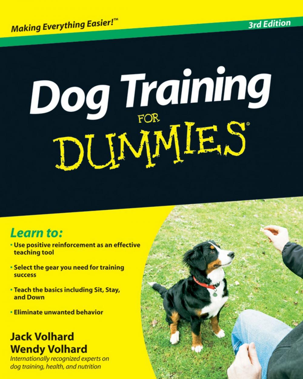 Big bigCover of Dog Training For Dummies