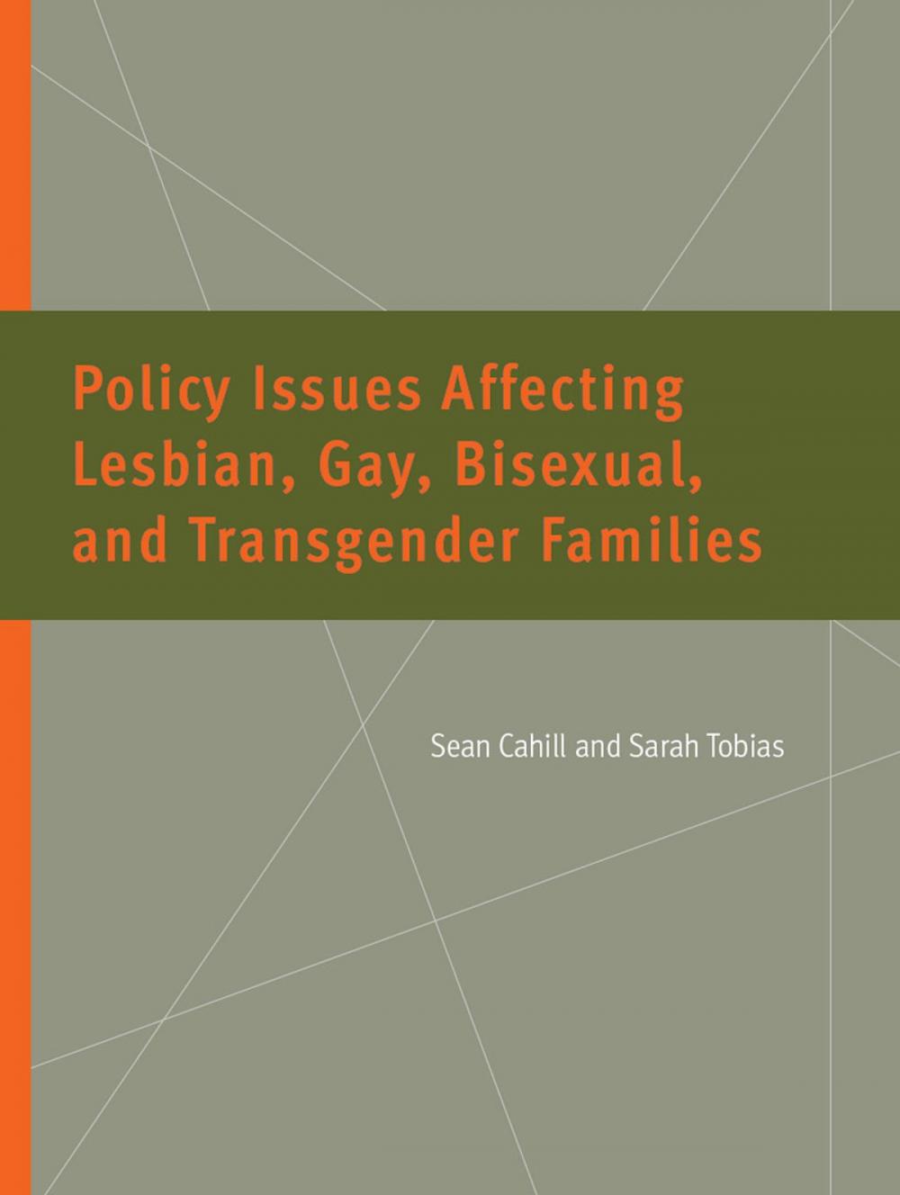 Big bigCover of Policy Issues Affecting Lesbian, Gay, Bisexual, and Transgender Families