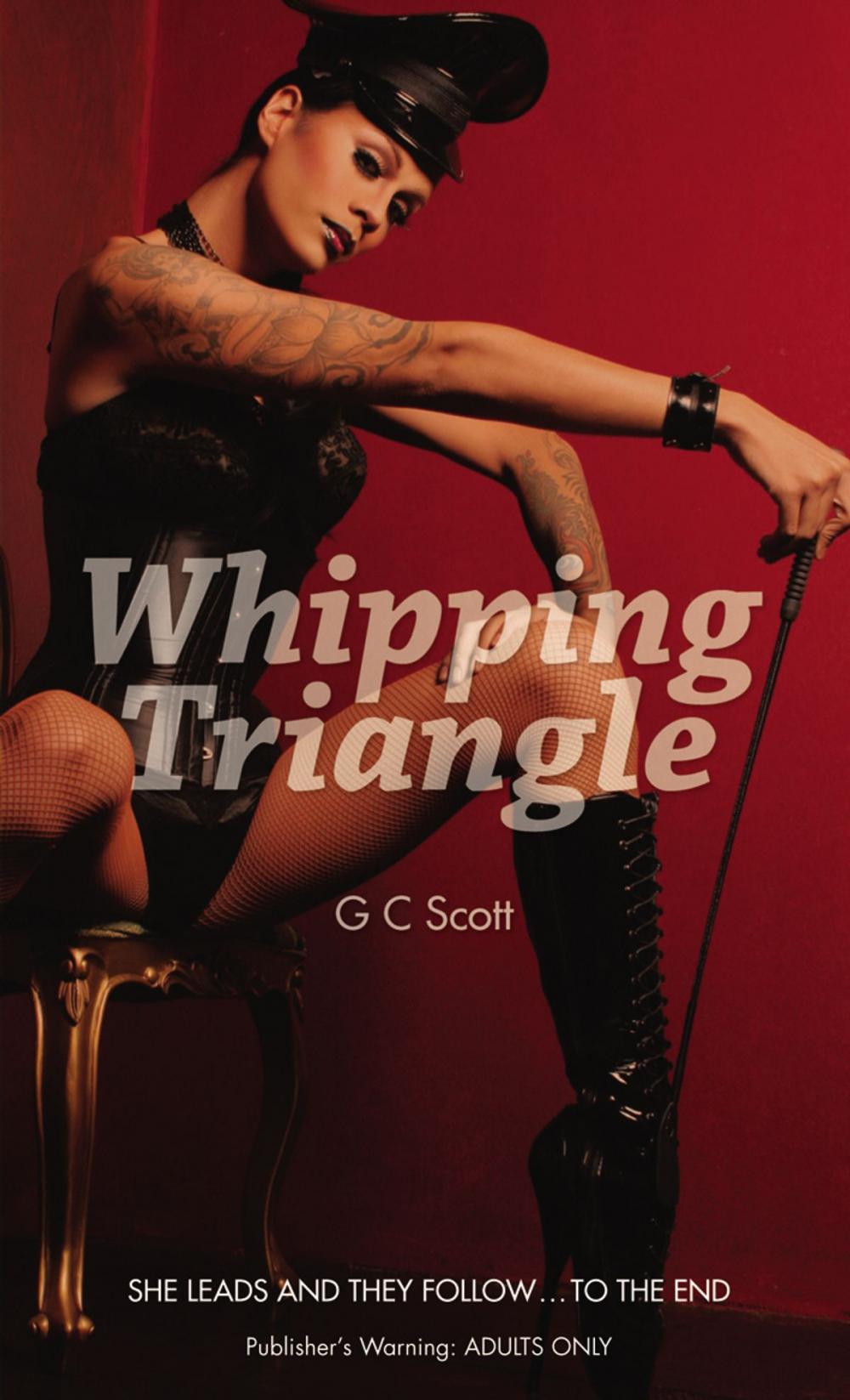 Big bigCover of Whipping Triangle